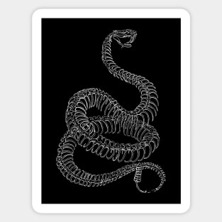 Rattlesnake Skeleton Sticker